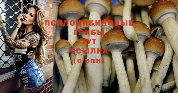 СК Абинск